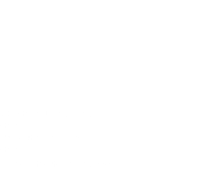  Ms. Chen Dongliang China Project manager China Joined the team in 2008